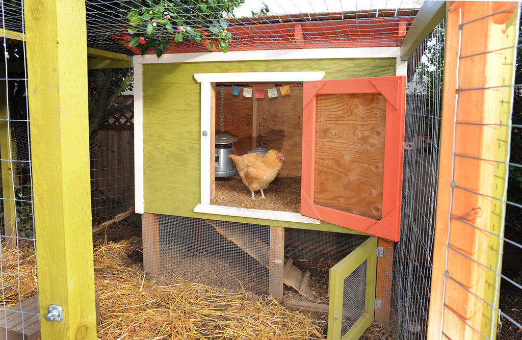 Our Chicken Coop