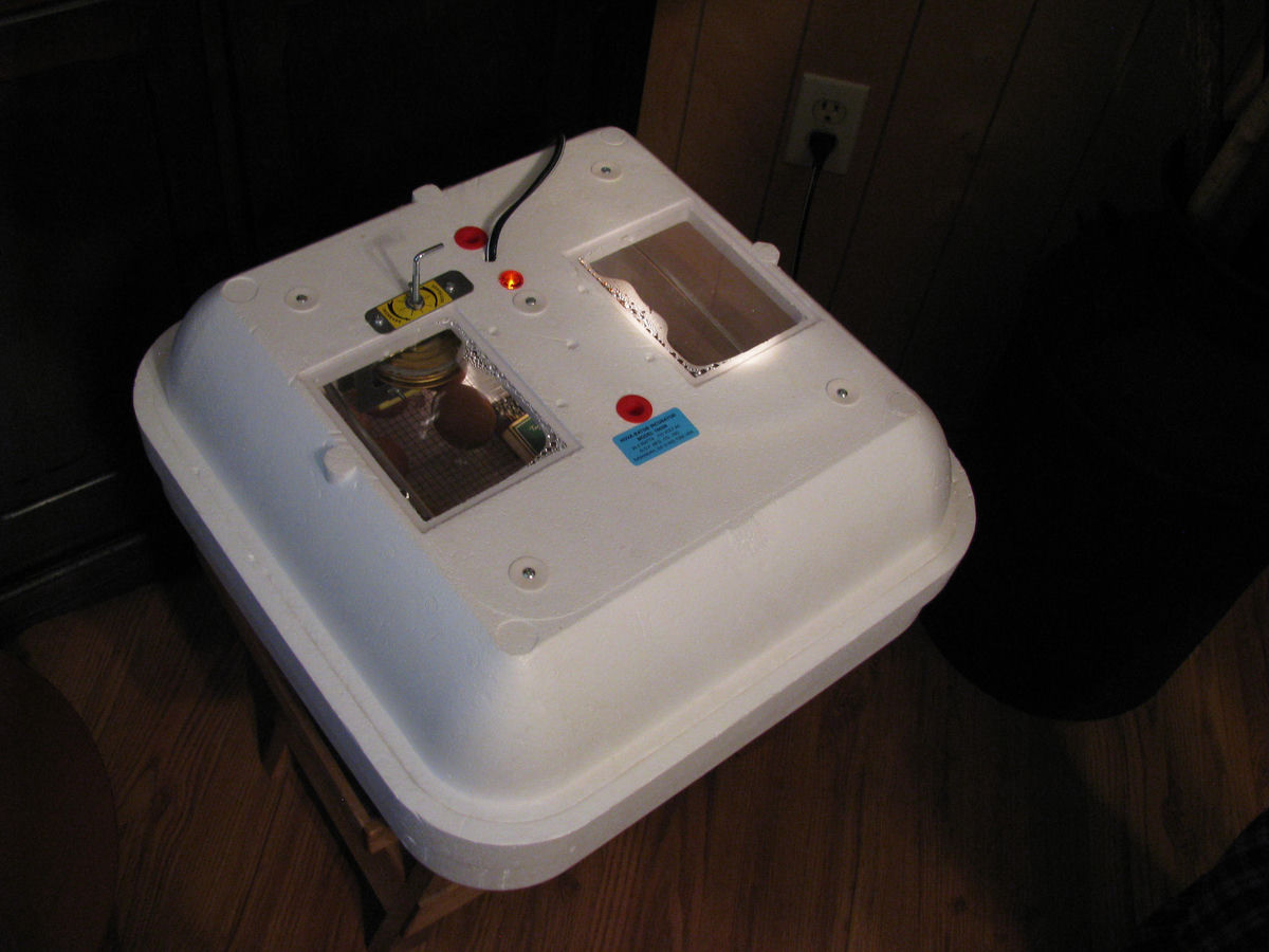 Small Chicken Egg Incubator