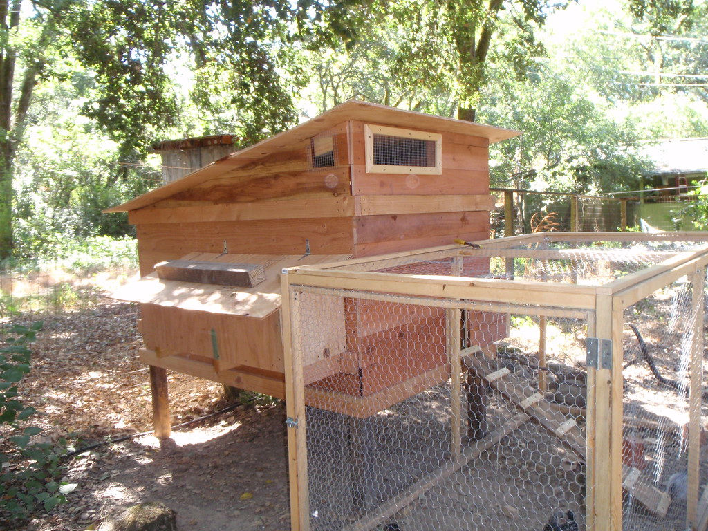 Chicken Coop
