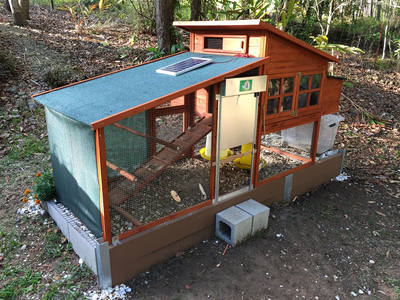 Backyard coop fitted with a solar powered automatic door