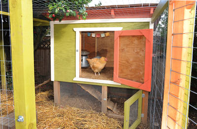 Coop with its big cleanout door open and straw on the floor