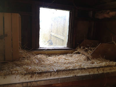 Wooden nesting boxes lined with straw inside a coop