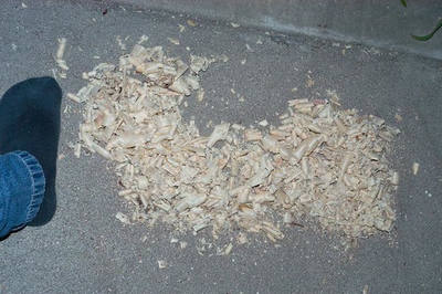 A pile of pale wood shavings