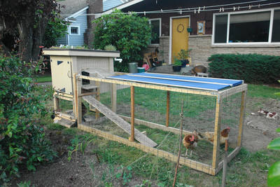 Small backyard chicken coop with a green roof and an attached run
